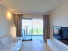 乐城 3室2厅87.27m²满五唯一