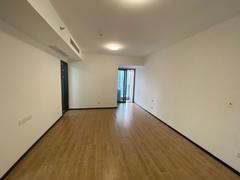 深业泰富广场 1室1厅58m²整租