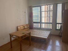 名邦西城国际 1室0厅47m²普通装修
