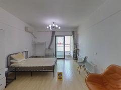 东方广场 1室1厅55.14m²精装修
