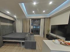 中信红树湾 1室0厅51.64m²整租