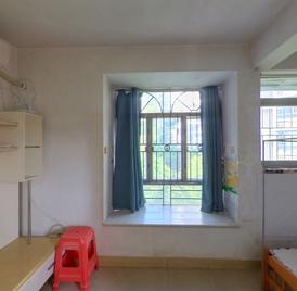 梧桐山新居二期 1室1厅24m²整租