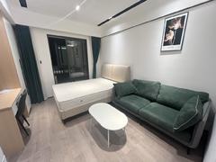 世茂深港国际中心 1室0厅41m²整租