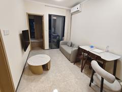 佳兆业盐田城市广场四期 1室2厅41m²整租