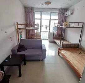 鹏基公寓 近仙湖站，带大阳台，南向，部分东西
