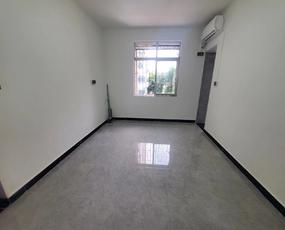 建设集团大院租房
