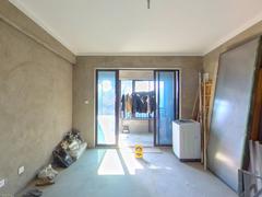 新华九龙首府 2室2厅173m²毛坯