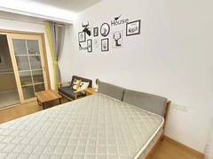 蓝光时代红街 1室0厅31.07m²精装修