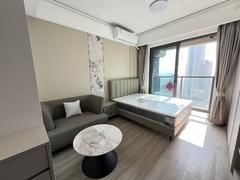 华润置地未来城 1室0厅38m²整租