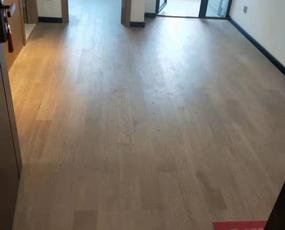龙城金地中心租房
