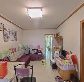 省安压力容器厂宿舍 2室1厅66m²精装修