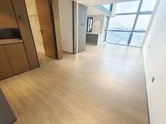 双子湾 2室2厅65.5m²普通装修