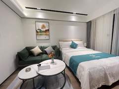 世茂深港国际中心 1室0厅41m²整租