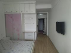 东方新世界C区 1室1厅30m²精装修