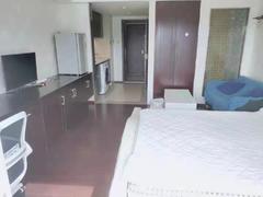 佳兆业大都汇 1室0厅45m²整租