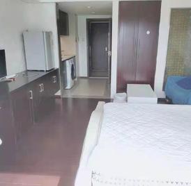 佳兆业大都汇 1室0厅45m²整租