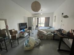 子非鱼 1室1厅43m²整租