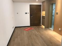 龙城金地中心 1室1厅43.04m²整租