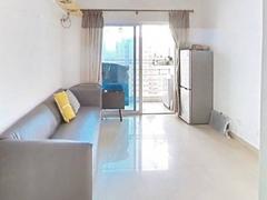 金怡华庭 1室1厅39.55m²整租